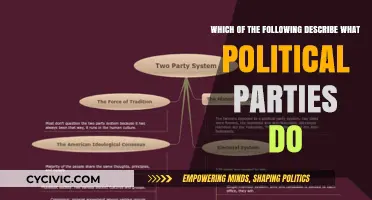 Understanding Political Parties: Key Functions and Roles in Democracy