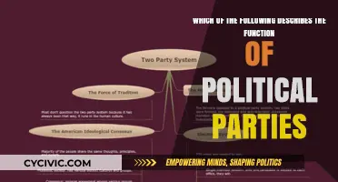 Understanding Political Parties: Their Core Functions and Roles Explained
