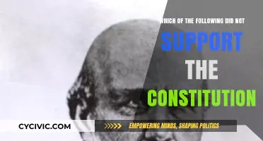 Anti-Federalists: Constitution's Unlikely Opponents