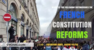 French Constitutional Reforms: Key Distinguishing Factors