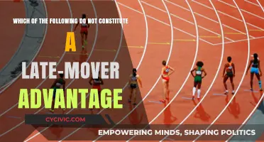 Late-Mover Advantage: Strategies for Success