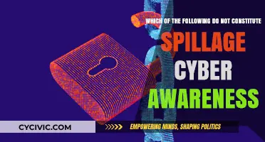 Understanding Spillage: Cyber Awareness Essentials