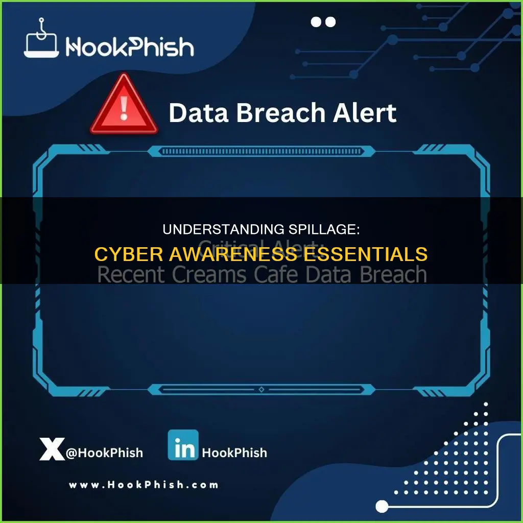 which of the following do not constitute spillage cyber awareness