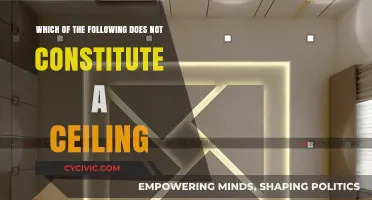 Ceiling Misconceptions: What Doesn't Count?