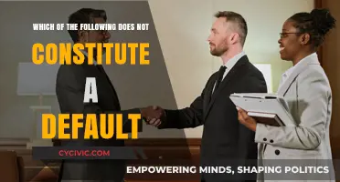 Understanding Loan Defaults: What Does Not Constitute a Default?