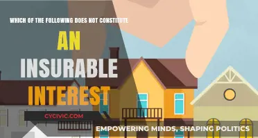 Understanding Insurable Interest: What Doesn't Count?