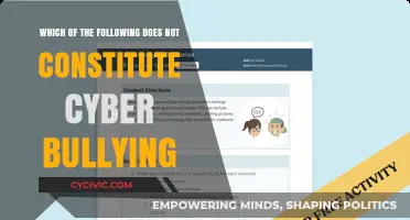 Cyber Bullying: What It Isn't