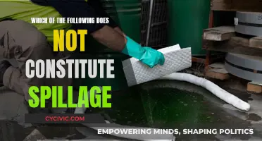 Identifying Non-Spill Factors: What Doesn't Count as Spillage?