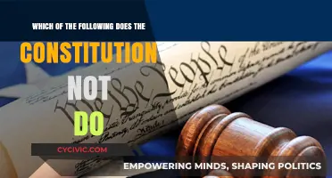What the Constitution Doesn't Do for Us