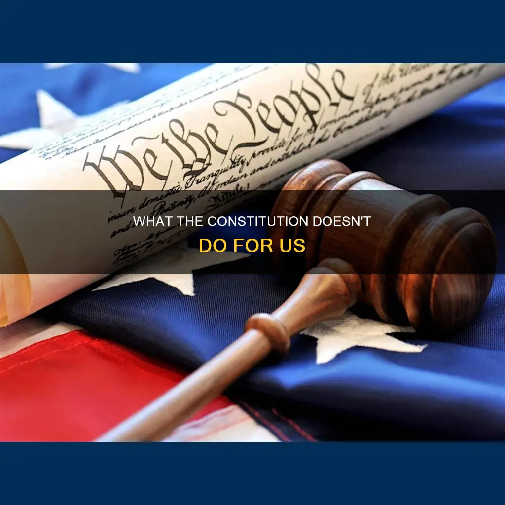 which of the following does the constitution not do