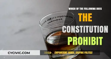 Prohibitions: What the Constitution Doesn't Allow