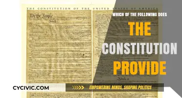 The Constitution's Provisions: What Does It Provide?