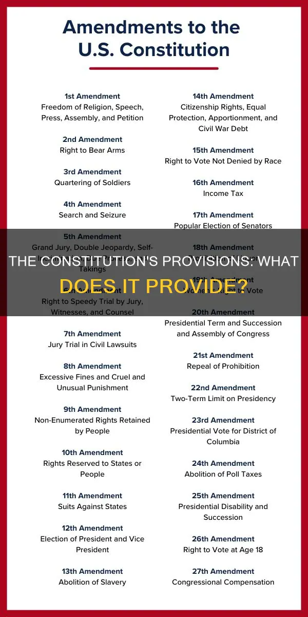 which of the following does the constitution provide