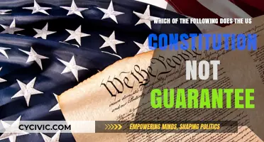 The US Constitution: What It Doesn't Guarantee