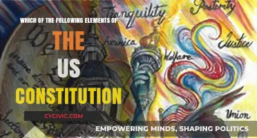 Understanding the US Constitution: Exploring the Elements