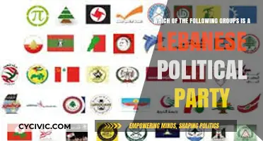 Identifying Lebanese Political Parties: A Comprehensive Guide to Key Groups