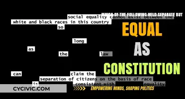 Separate but Equal: A Constitutional Mistake