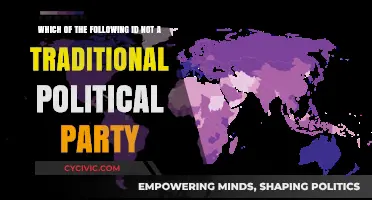 Unveiling Non-Traditional Political Entities: What Doesn't Fit the Party Mold?