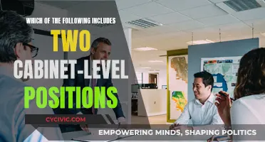 Cabinet-Level Positions: Understanding the Key Duo