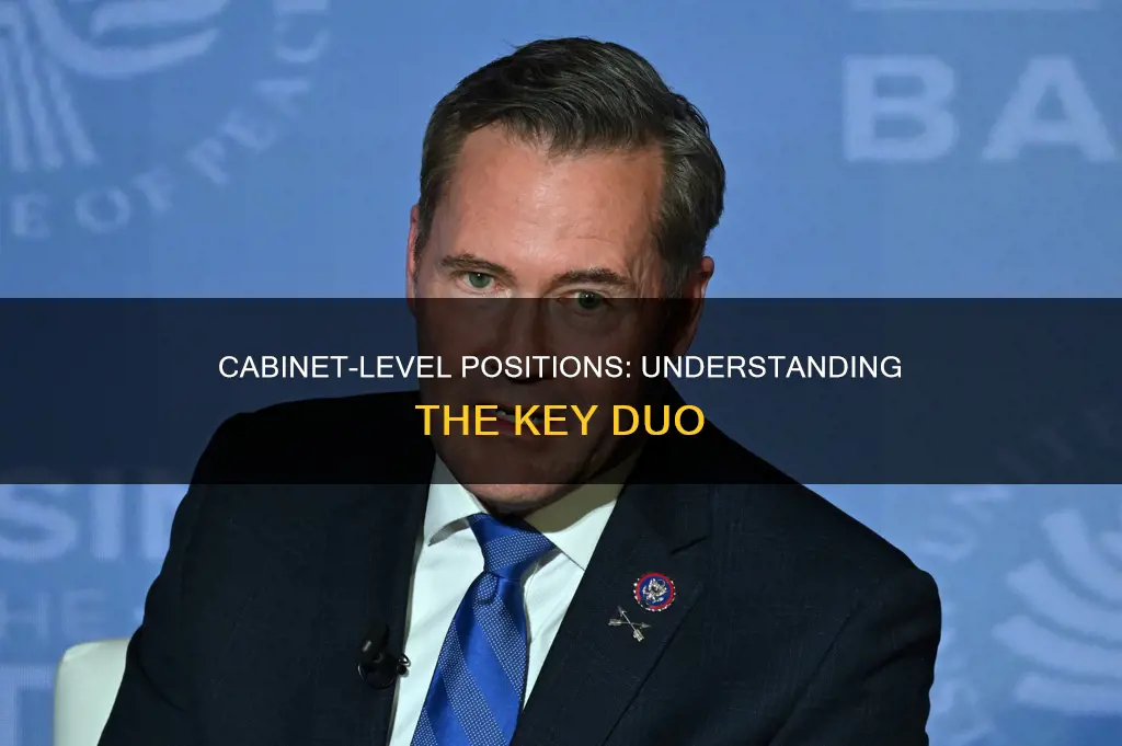 which of the following includes two cabinet-level positions