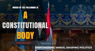 Understanding Constitutional Bodies: What Are They?