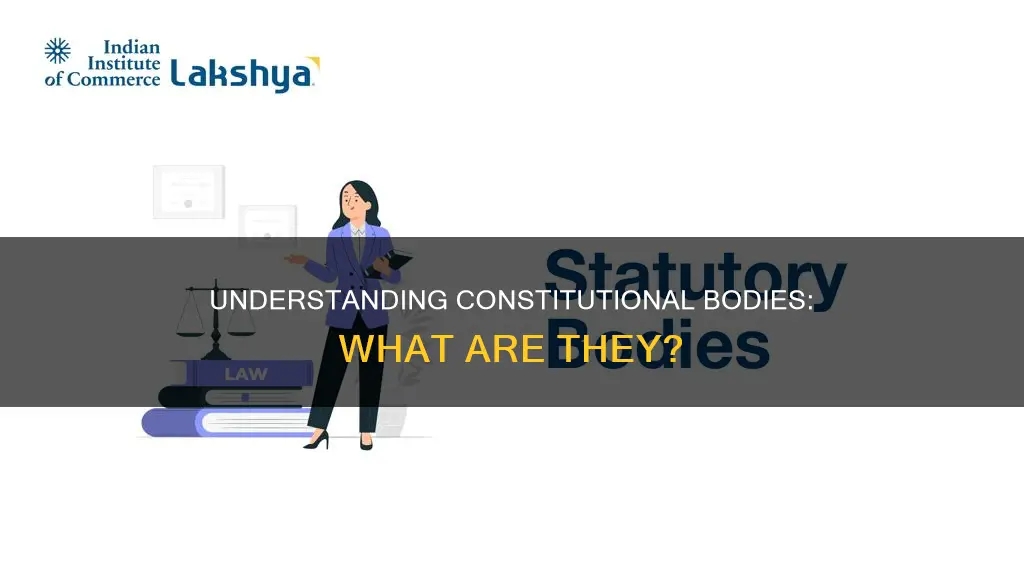 which of the following is a constitutional body