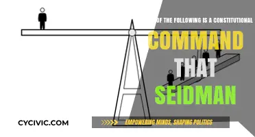 The Constitutional Command: Seidman's Legacy and Impact