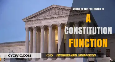 The Constitution's Key Functions: Understanding the Basics
