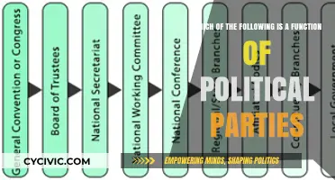 Understanding Political Parties: Key Functions and Roles in Democracy