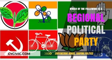Regional Political Parties: Identifying Local Power Players in Politics