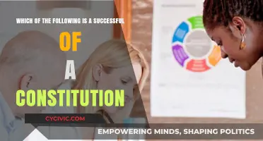 Key Elements of a Successful Constitution