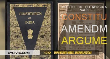 Constitutional Amendments: Valid Arguments Explored
