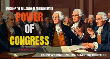 Enumerated Powers: Congress' Legislative Abilities and Limits