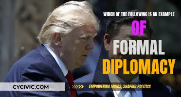 Diplomacy in Action: Formal Diplomacy Examples