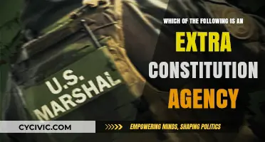 Extra-Constitutional Agencies: What Are They?