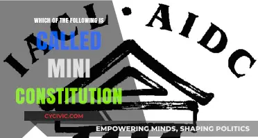 The Basic Structure: A Mini Constitution