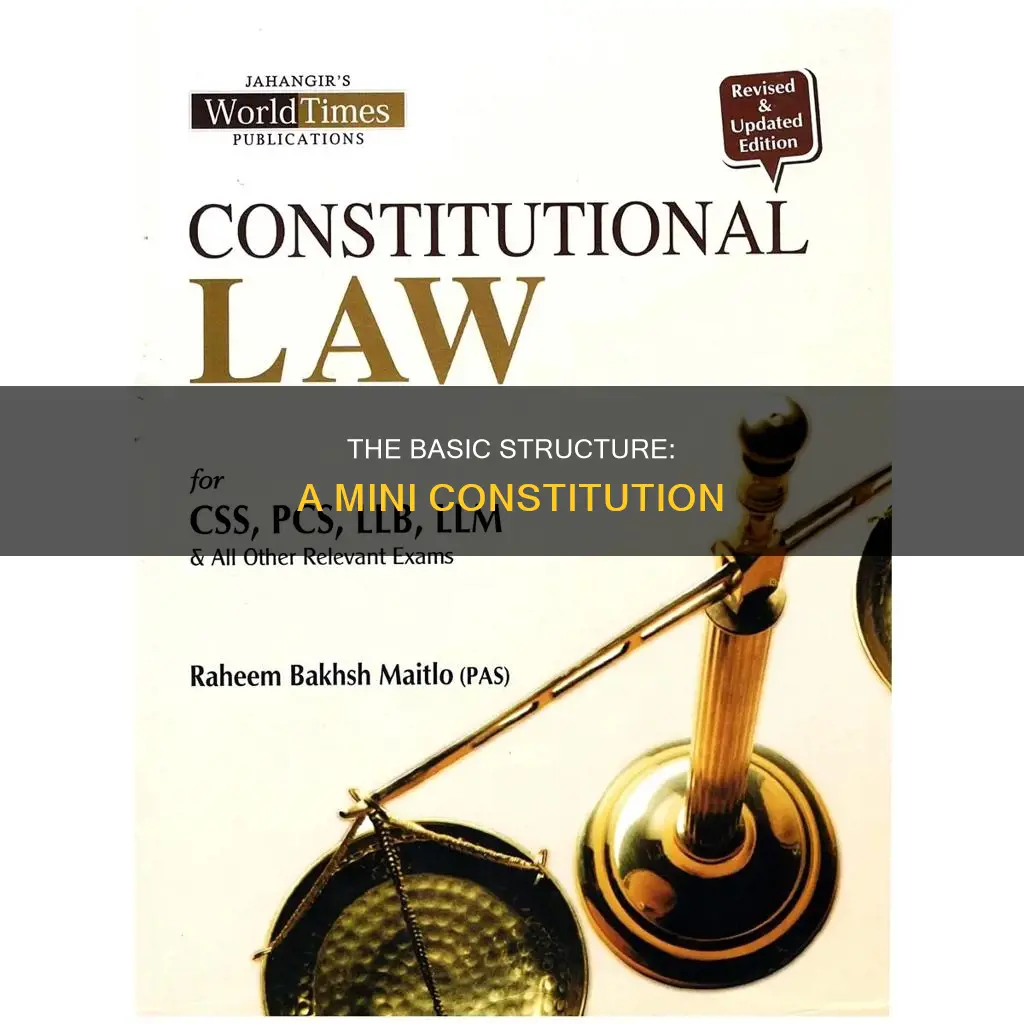 which of the following is called mini constitution