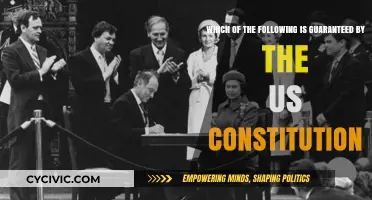 The US Constitution: What Rights Does It Guarantee?