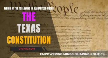 Texas Constitution: What Rights Are Guaranteed?