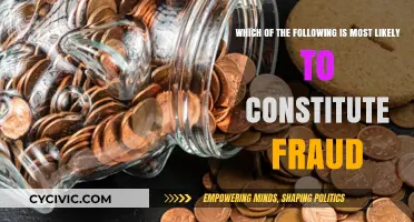 What Actions Constitute Fraud?