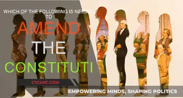 Amending the Constitution: What's Required?