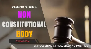 Explore Non-Constitutional Bodies: Understanding Their Role