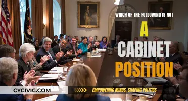 Who's Missing from the Cabinet?