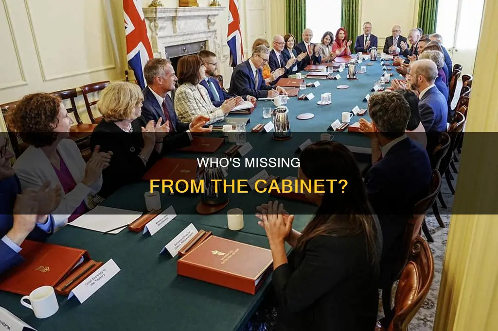 which of the following is not a cabinet position