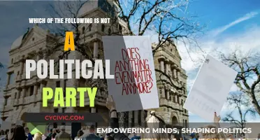 Identifying Non-Political Entities: A Guide to Party Classification