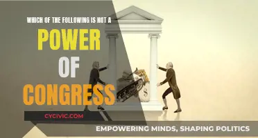 Congress Powers: Understanding the Limits and Boundaries
