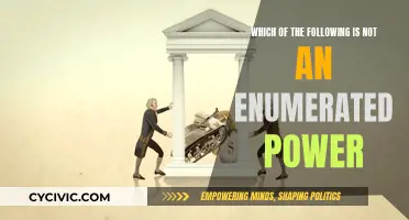 Enumerated Powers: Understanding the Limits of Government
