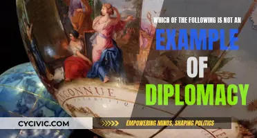 Examples That Are Not Diplomacy: Understanding the Difference