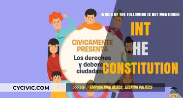 The Constitution: What's Missing?