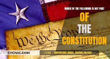 What's Excluded from the Constitution?